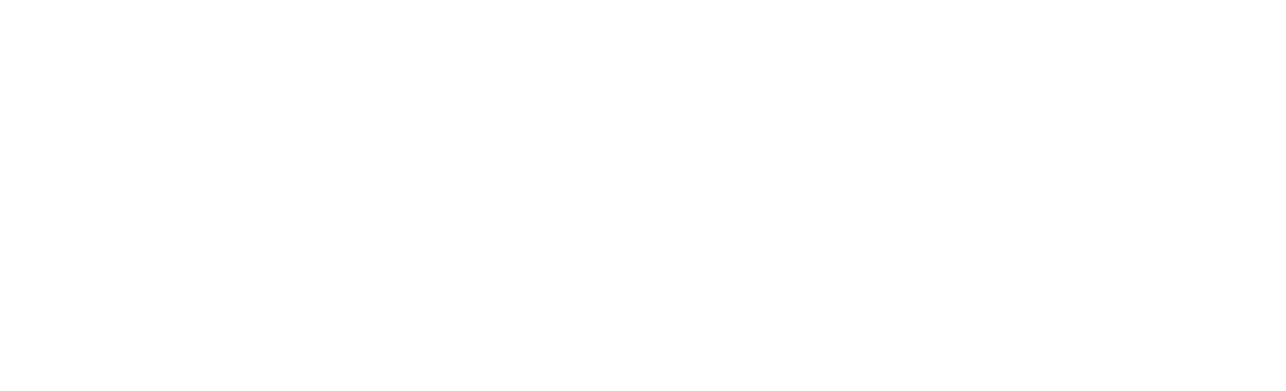 logow.webp